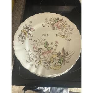10in dinner plate J&G Meakin English Staffordshire “Deavonshire”